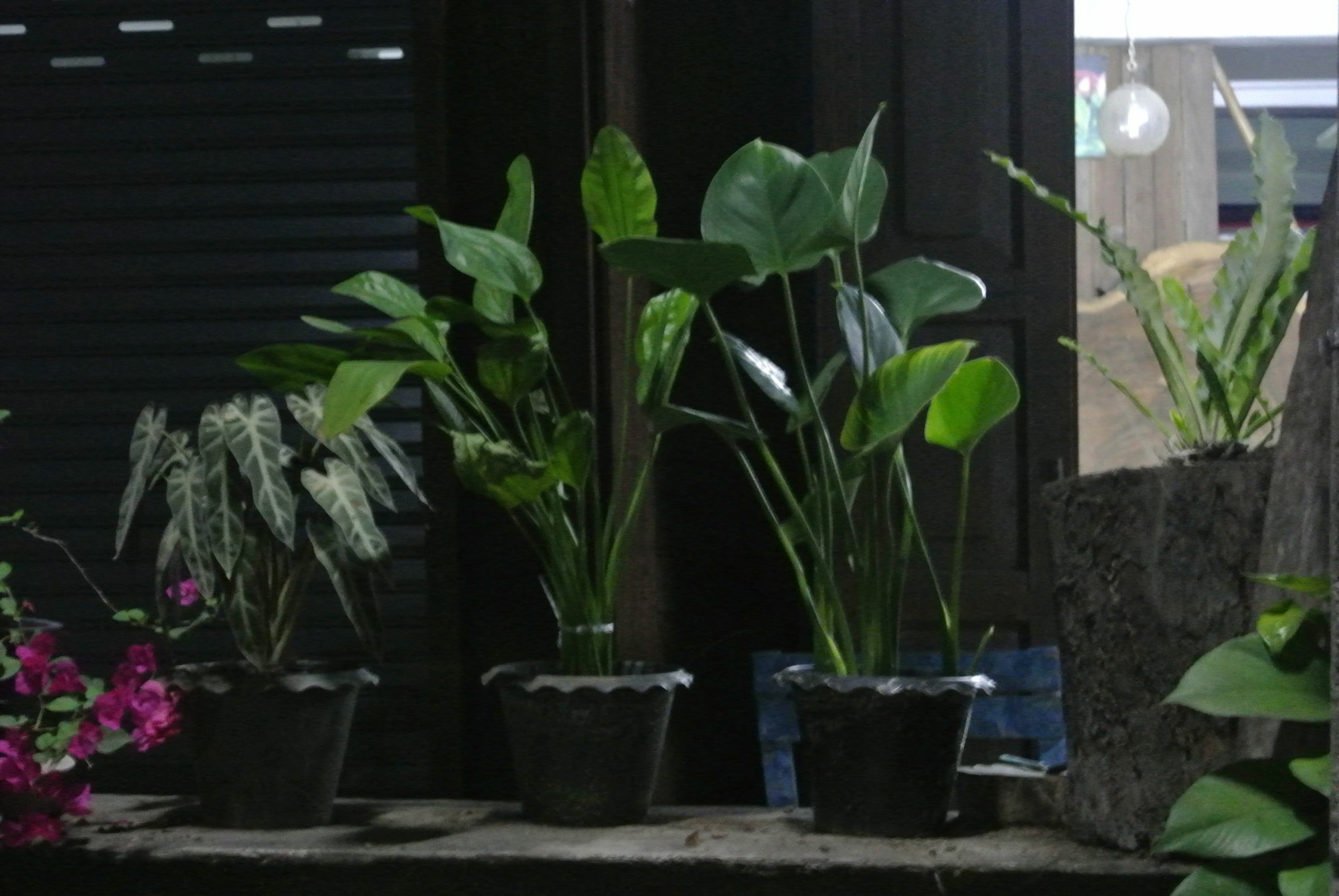 Cumpun Guest House Chiang Mai Exterior photo